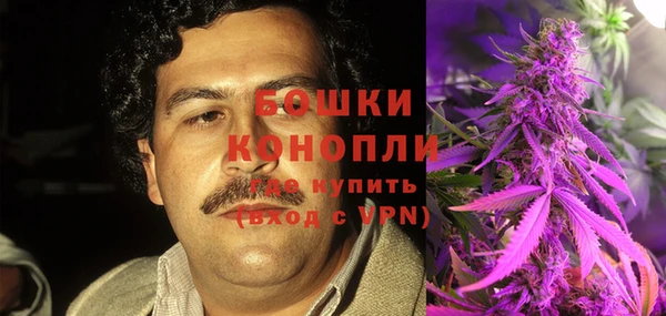 ГАЛЛЮЦИНОГЕННЫЕ ГРИБЫ Богданович