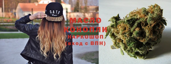 скорость Гусев
